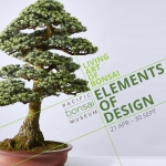 Living Art of Bonsai: Elements of Design