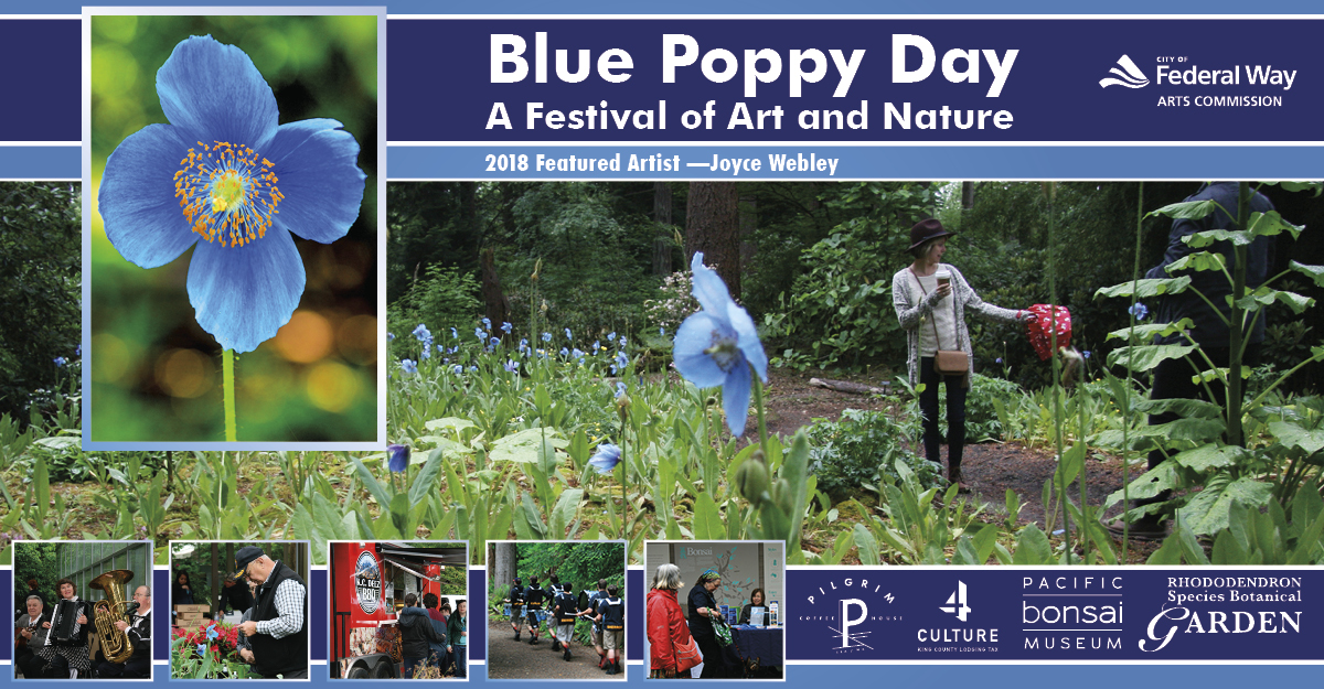 Blue Poppy Day Federal Way Tourism