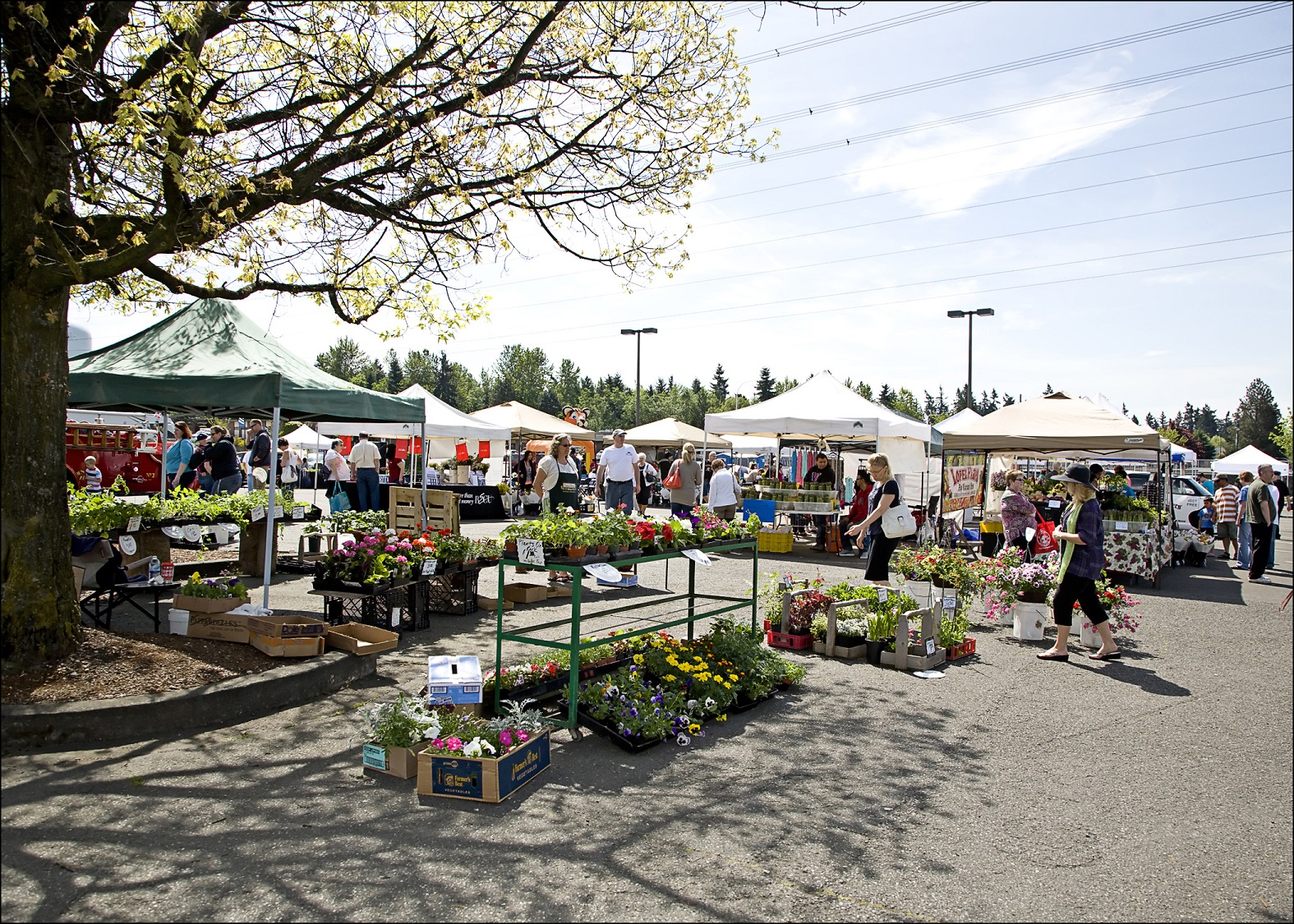 farmers-market-2.jpg